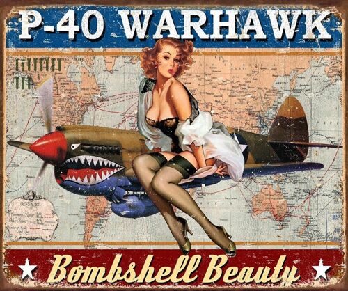 Plaque metal P-40 Warhawk