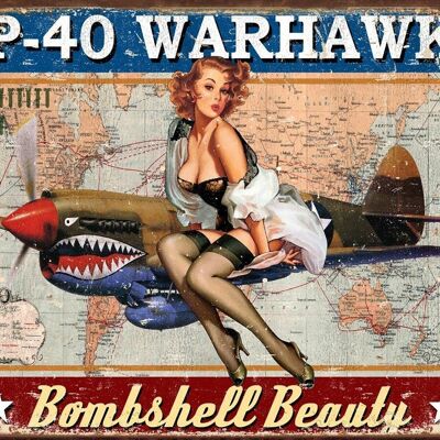 Plaque metal P-40 Warhawk