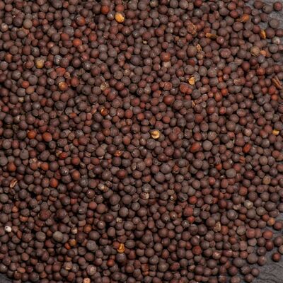 Black mustard organic seeds 3kg