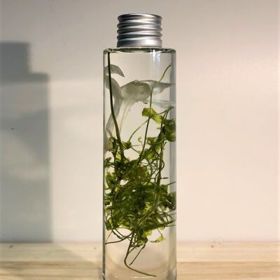Décoration Plantes naturelles en bouteille de verre, Herbarium oil flower
