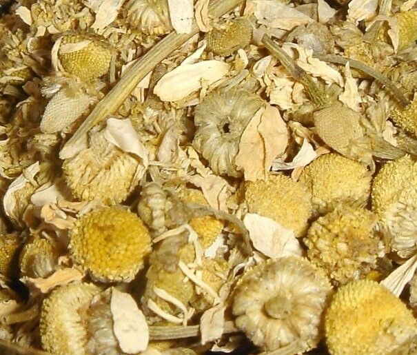 Camomille matricaire fleur 500g