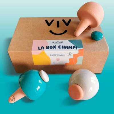 Gift box 3 ollas Champi Lagoon