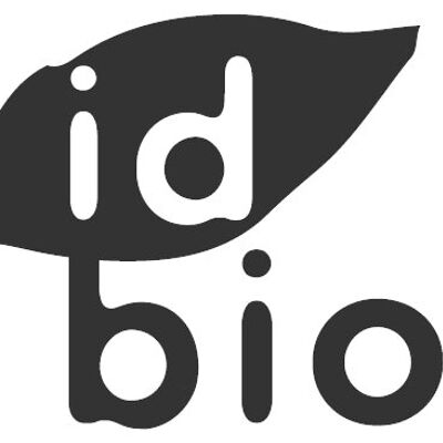 Infusion Détox bio 500g