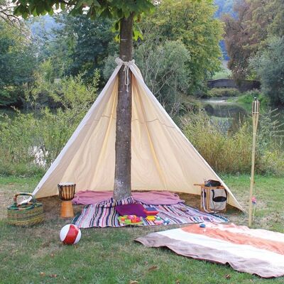 Tipi di alberi (Art. 680-30)