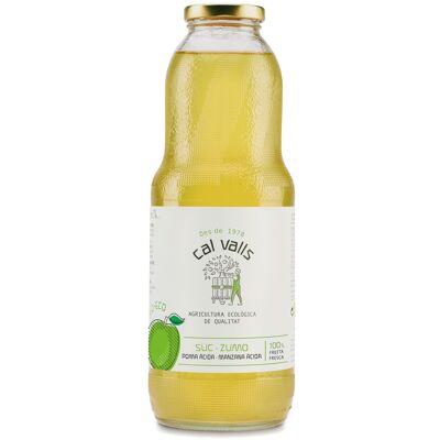 Sour Apple Juice Eco 1L