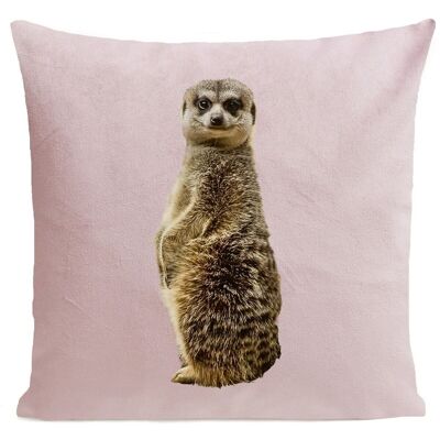 Animal Cushion - Meerkat