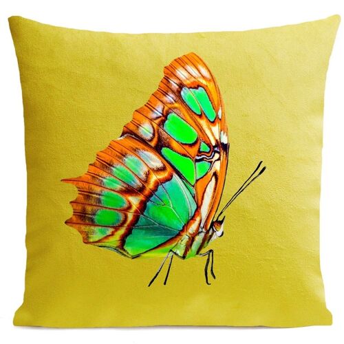Coussin papillon - Orange Butterfly