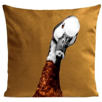 Coussin country - Little Goose 1