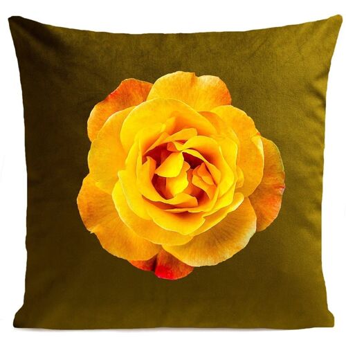 Coussin fleur - Orange Rose