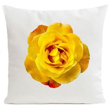 Coussin fleur - Orange Rose 13