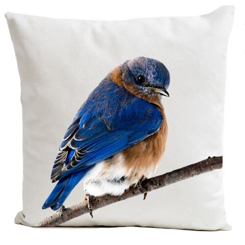 Coussin oiseau, déco, suédine, bleu, 40x40cm - Pioupiou