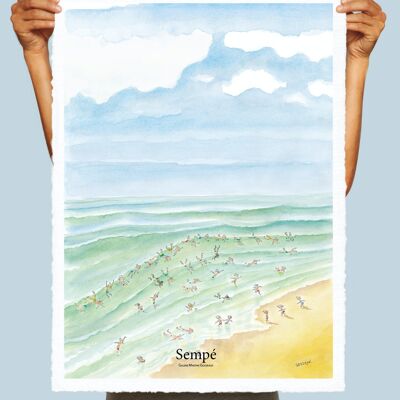 POSTER 56x76 cm SEMPE SCHWIMMEN