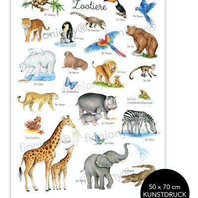 Affiche animaux du zoo blanc 50x70 cm SANS CADRE