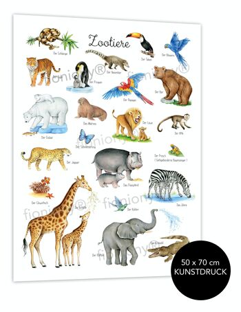 Affiche animaux du zoo blanc 50x70 cm SANS CADRE 1