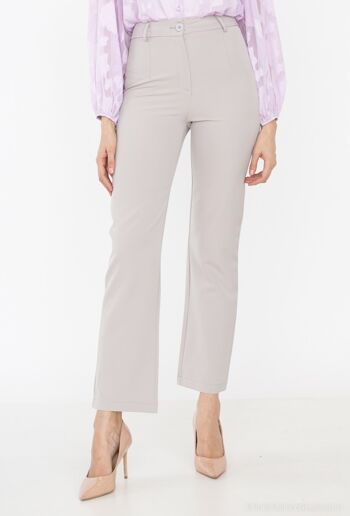 Pantalon de costume SLIM GRIS 3