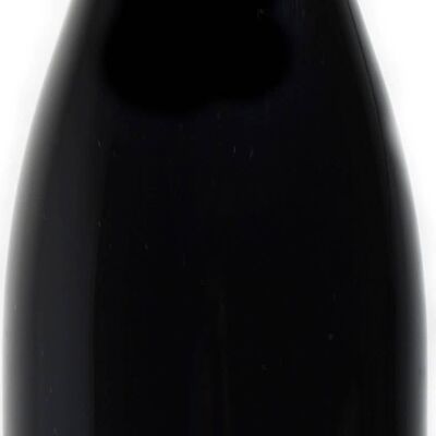 BOURGUEIL DOMAINE DE LA LANDE BIOLOGICO 2019 37,5 CL