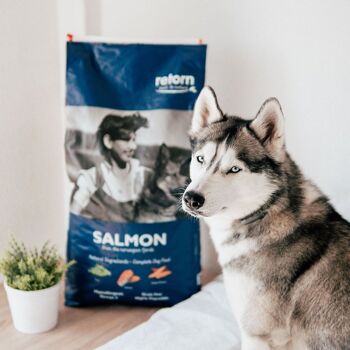 Aliment naturel pour chiens avec croquettes régulières au saumon de RETORN 2
