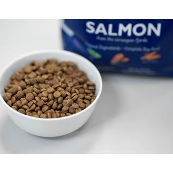 Aliment naturel pour chiens avec croquettes régulières au saumon de RETORN 7