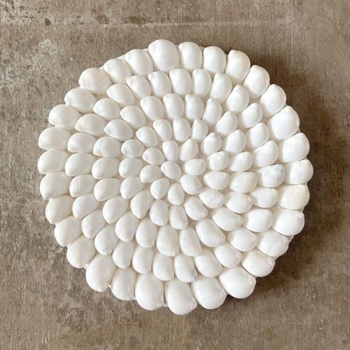 Shell Circle 15cm - Set