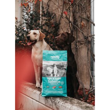 Aliment naturel pour chiens légers et seniors, croquettes au saumon Regular de RETORN 4