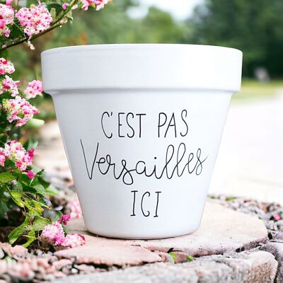 Terracotta flowerpot / planter: It's not Versailles here