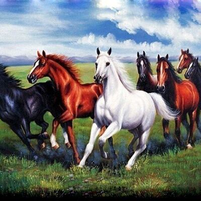 Diamond Painting Galloping horses, 30x40 cm,Square Drills