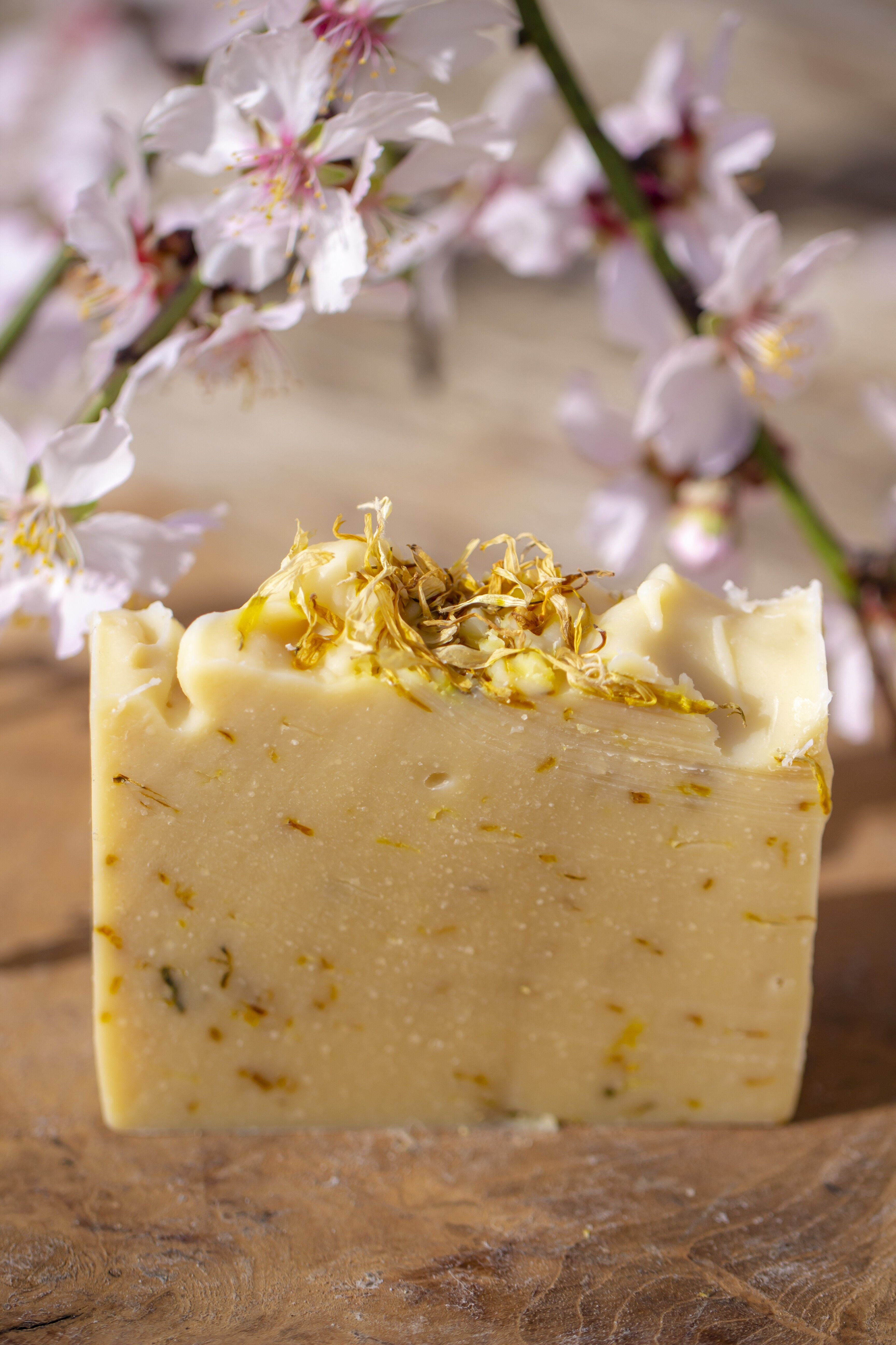 Nel giardino della nonna