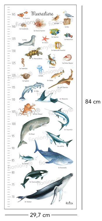 Barre de mesure animaux marins blanc 29,7 x 84 cm 3