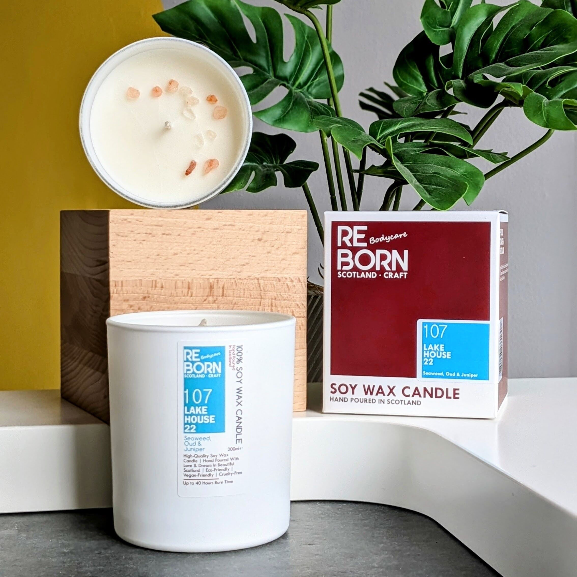 Reborn Sojawachskerze – 107 Lake House 22 – Algen, Oud & Wacholder (200 ml)