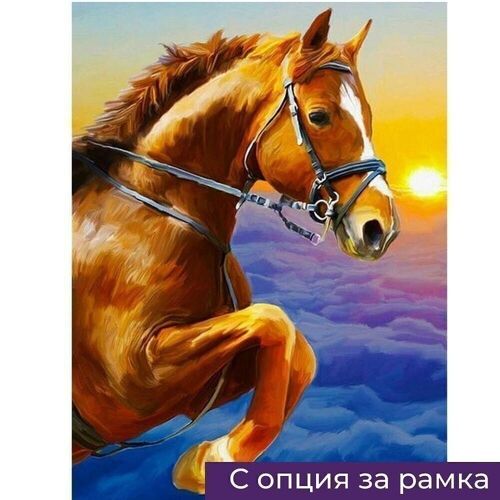 Diamond Painting Horse, 30x40 cm, Round Drills with Frame
