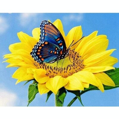 Diamond Painting Blume mit Schmetterling, 30x40 cm, Rundbohrer