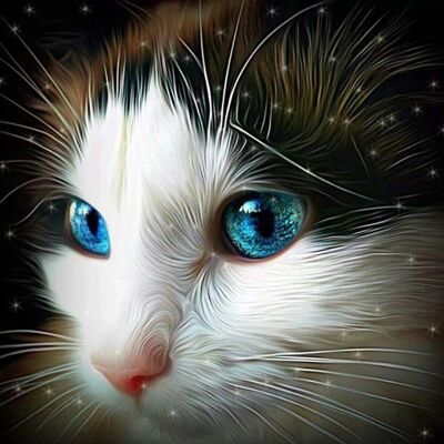 Diamond Painting Blue Eyed Kitten, 40x40 cm, Round Drills