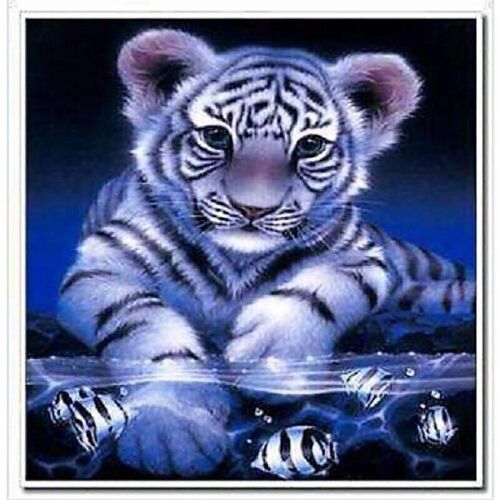 Diamond Painting Tiger, 40x40 cm, Round Drills