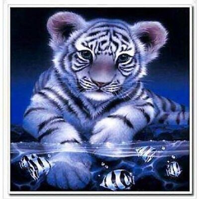 Diamant Peinture Tigre, 40x40 cm, Forets Ronds