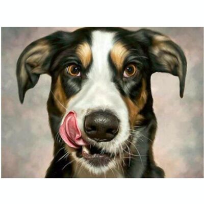 Diamond Painting Greedy Puppy, 35x45 cm, Round Drills