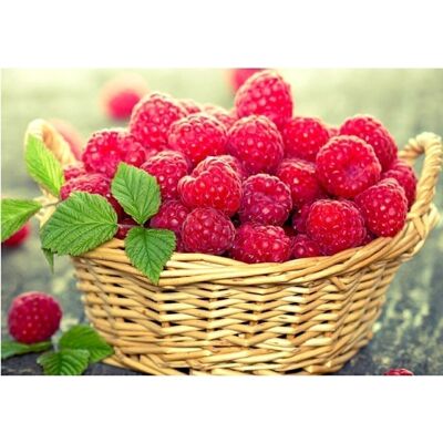 Diamond Painting Raspberries, 40x50 cm, Round Drills