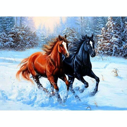 Diamond Painting Gallop, 40x50 cm, Round Drills