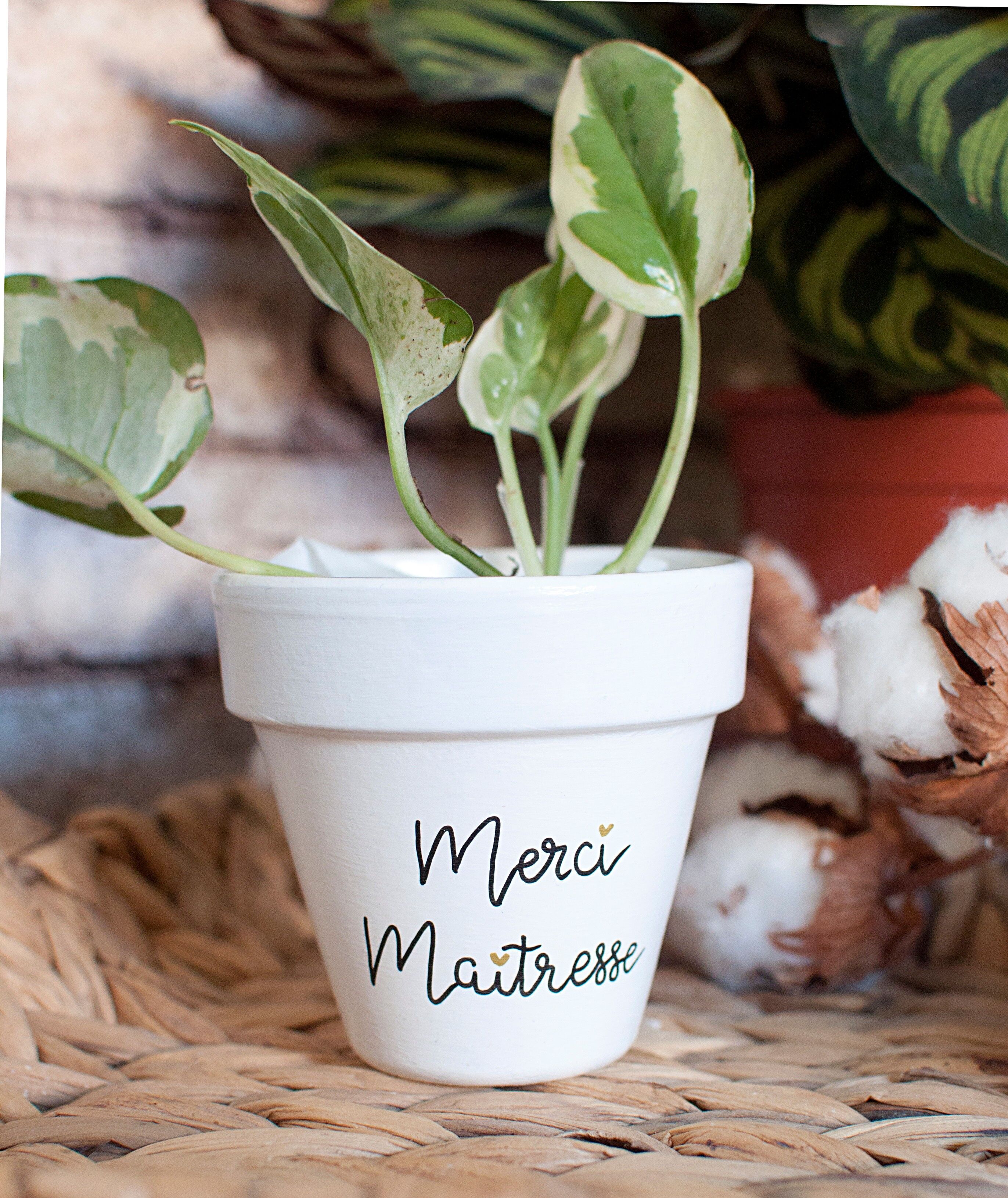 Vaso per fiori in terracotta personalizzato: grazie insegnante [Regalo di fine anno scolastico / Grazie insegnante / Regalo per l'insegnante]