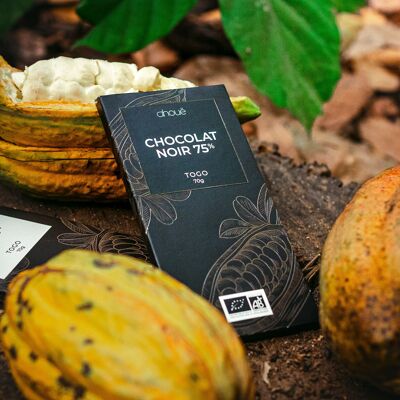 Chocolat noir 75% bio 70g - Togo