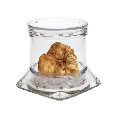 Bianchetto Truffe 40 g en Pack Tuber professionnel