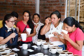 Café des femmes, Asprocdegua, Guatemala 2