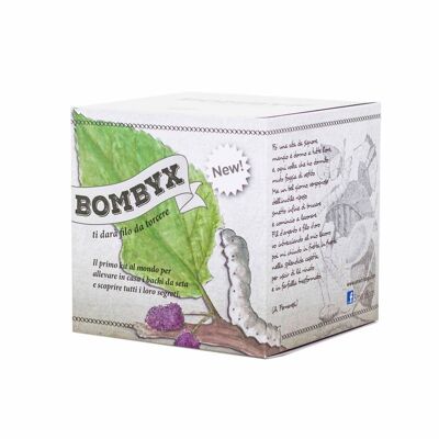Bombyx, The Kit to Breed Silkworms at Home - Educational Experiment, Educational Science Kits for Children, Boy Girl Gift Ideas, Birthday, Girl Gift Idea