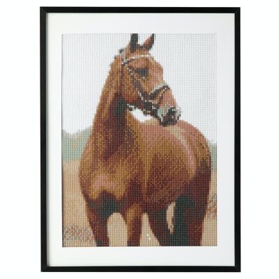 Diamond Painting Braunes Pferd, 30x40 cm, Rundbohrer