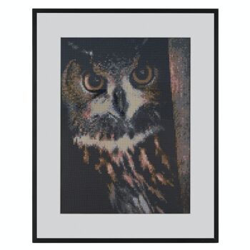 Hibou de peinture au diamant, 40x50 cm, forets ronds 1