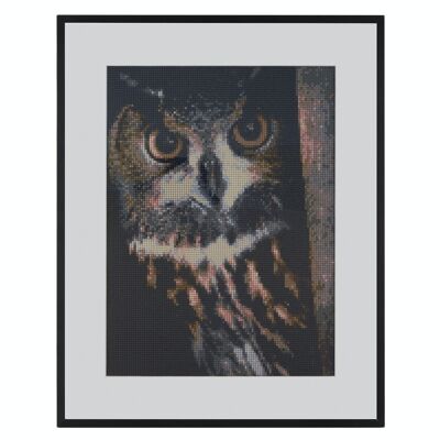 Diamond Painting Owl, 40x50 cm, Round Drills