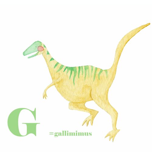 Affiche décoration enfant - Dinosaure - Gallimimus