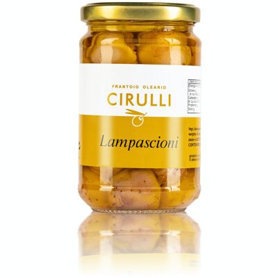 Cirulli Conserve, Lampascioni in nativem Olivenöl extra, Packung mit 280 Gr