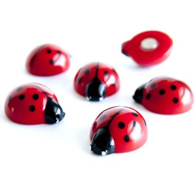 AIMANTS COCCINELLES - set de 6 - printemps