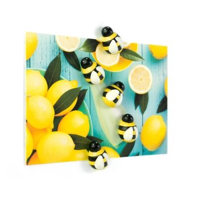 AIMANTS ABEILLES - set de 5