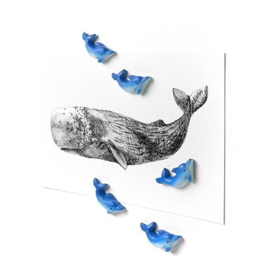 DOLPHIN MAGNETS - SET OF 5 - sea